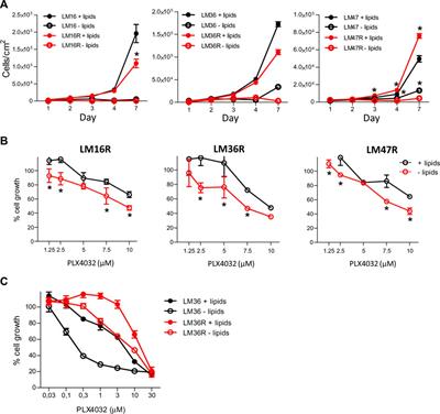 Targeting of the Lipid Metabolism Impairs Resistance to BRAF Kinase Inhibitor in Melanoma